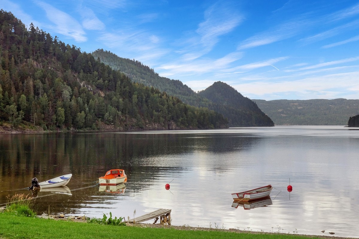 Det er mange fine badeplasser ved tomten. Galleribilde