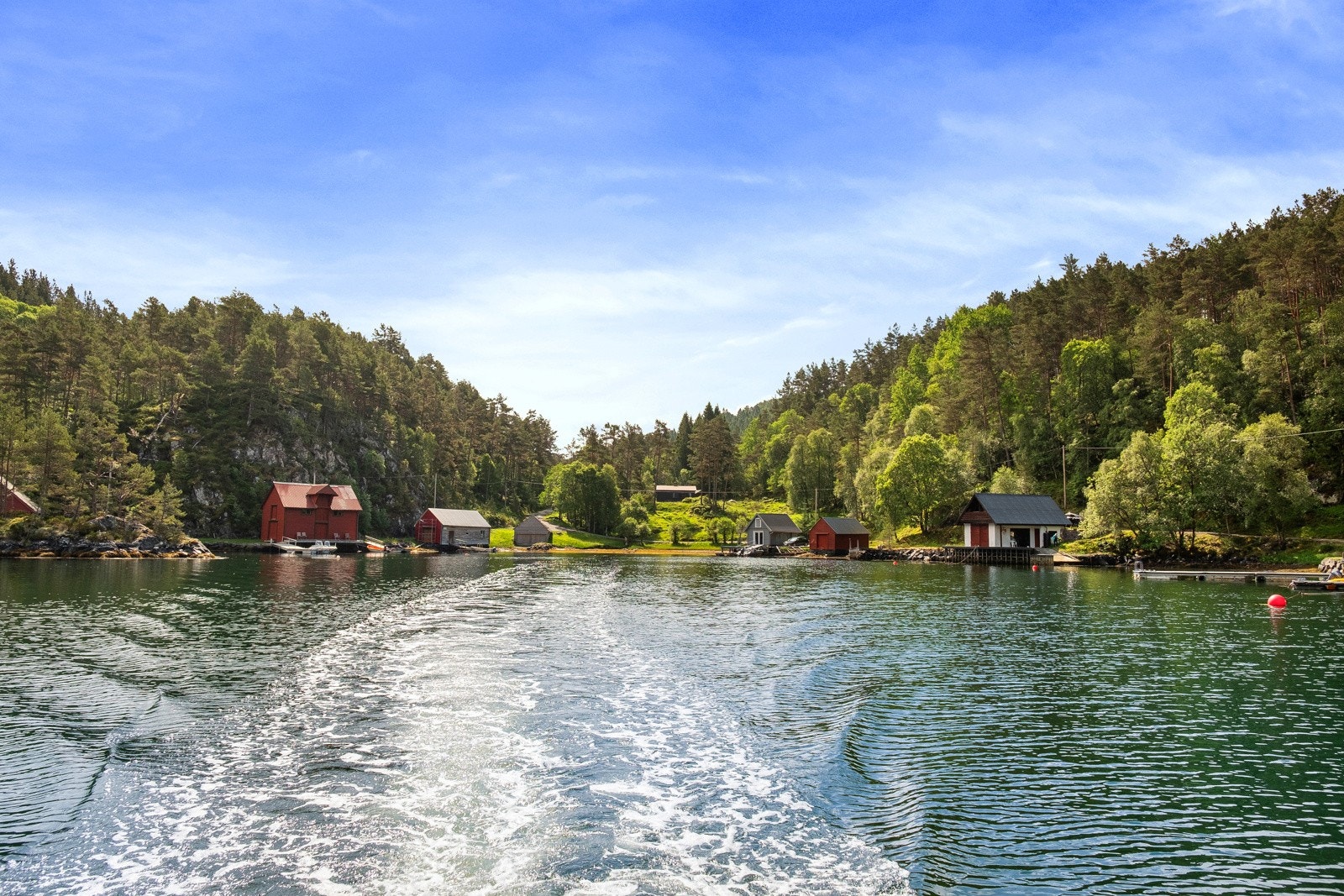 Kort avstand til sjølivets gleder. Galleribilde