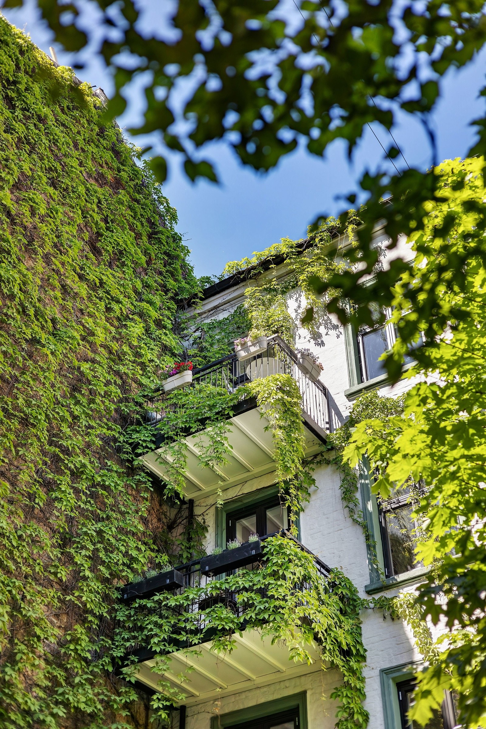 Her bor du høyt, fritt og solrikt på toppen! Leiligheten ligger svært rolig og idyllisk til i indre bakgård uten sjenerende støy og trafikk. Galleribilde