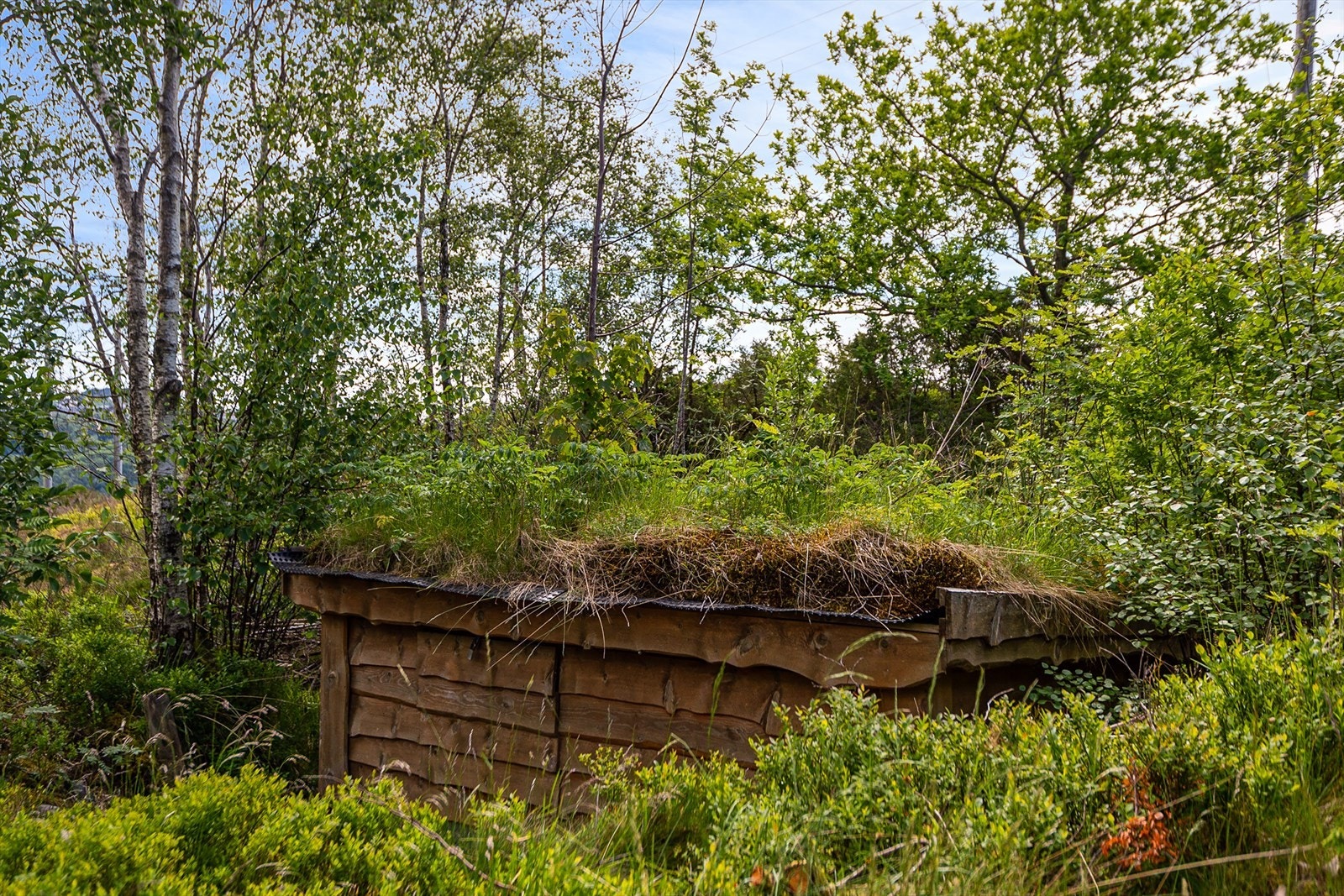 Privat brønn på egen tomt, sikret med takoverbygg tekket med torv på tak og villmarkspanel på vegger Galleribilde