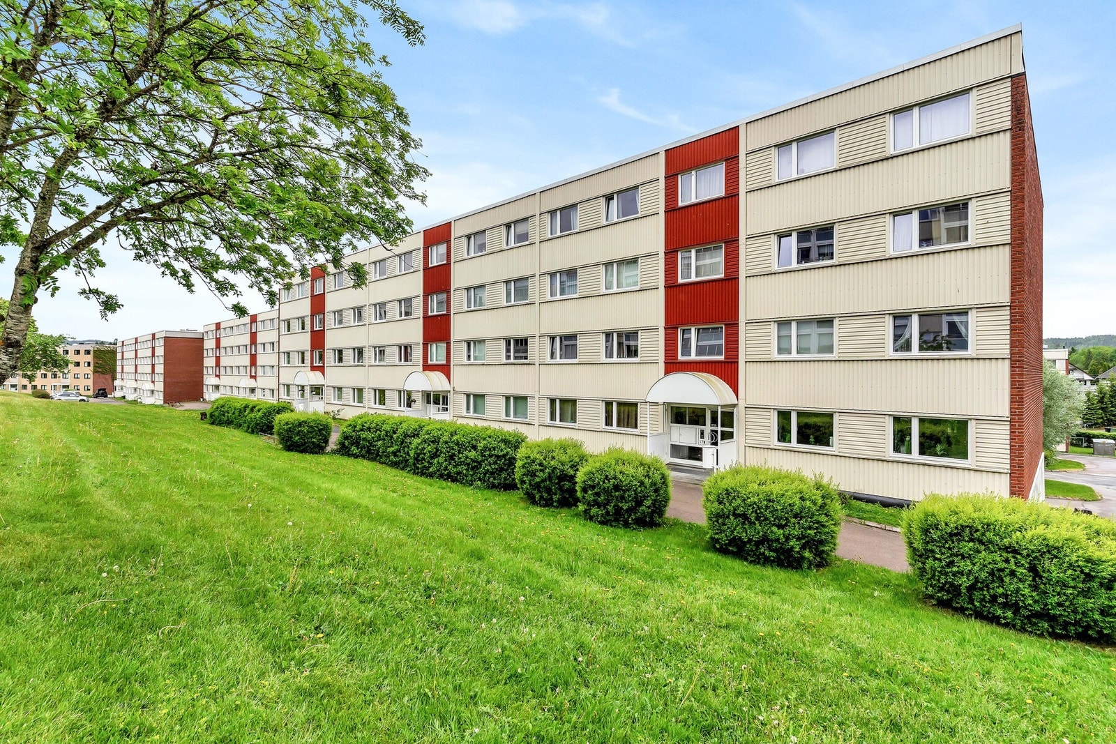 Fellesområdet opparbeidet med blandt annet internstier, plenarealer og diverse beplantning. Galleribilde