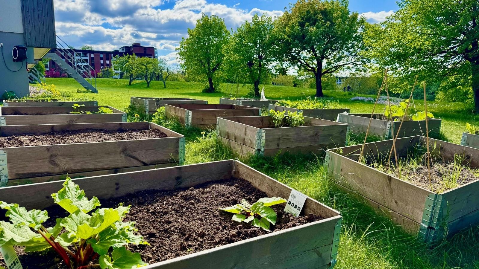 Borettslaget har også en egen pallekarmhage - Jarhagen dyrkingslag - med 12 pallekarmer til leie for beboere som ønsker å dyrke egne grønnsaker eller blomster. Et hyggelig tilbud for dem med grønne fingre! Galleribilde