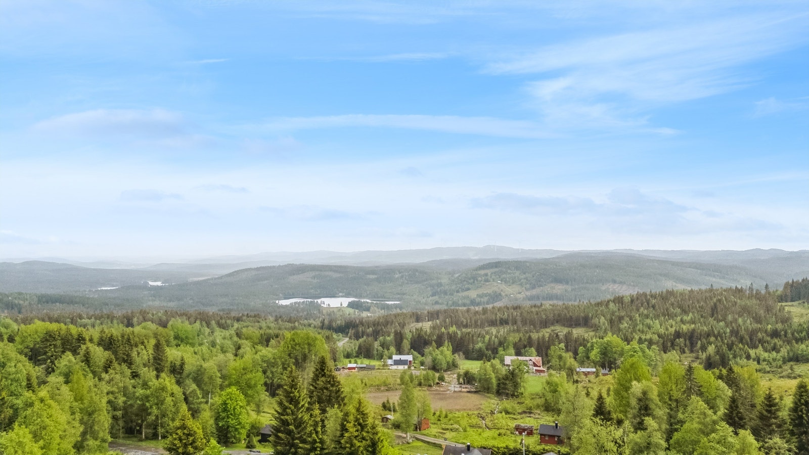 Utsikt til Nord-Odals vakre skoger og vann. Galleribilde