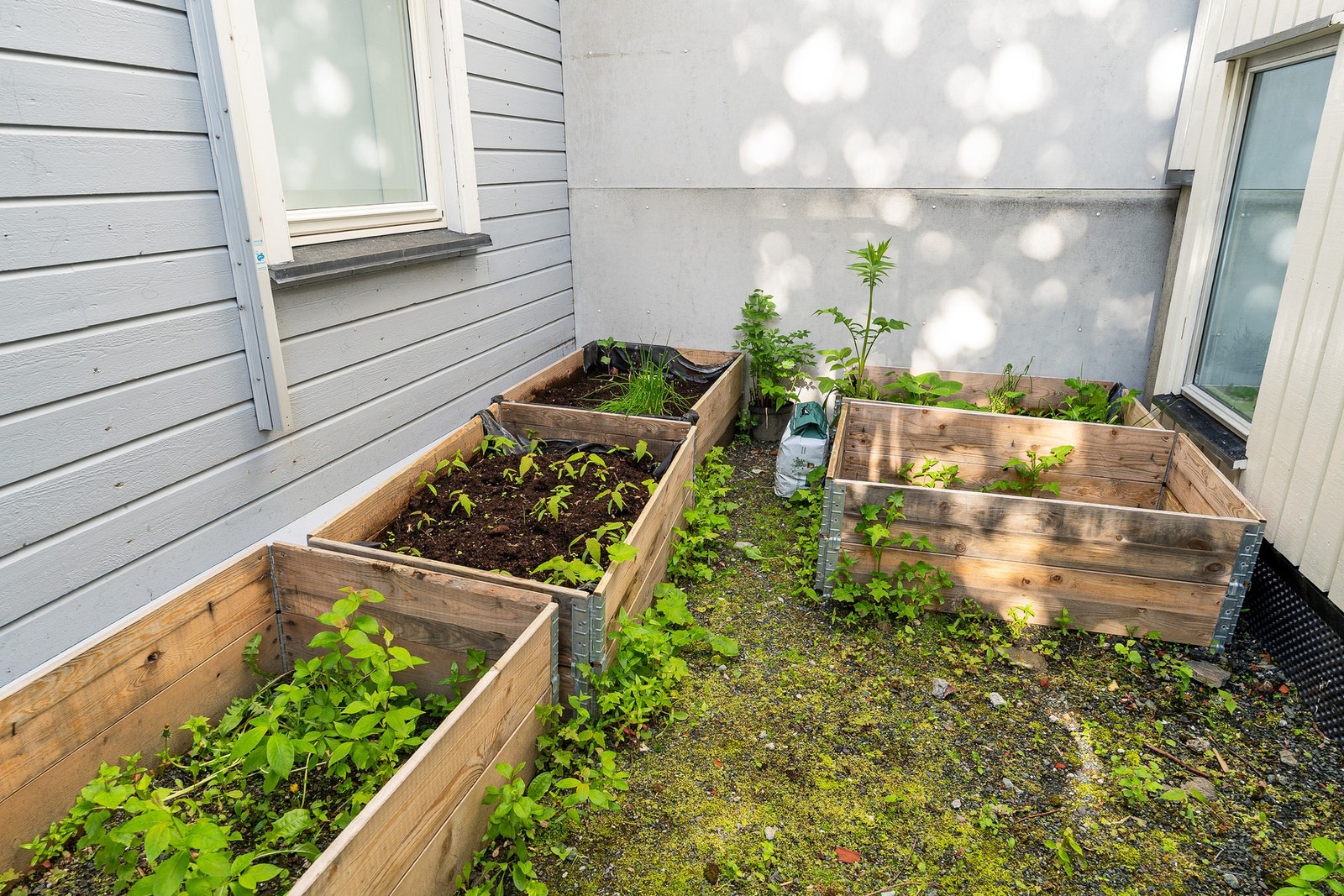 Bilde fra bakgård. Galleribilde