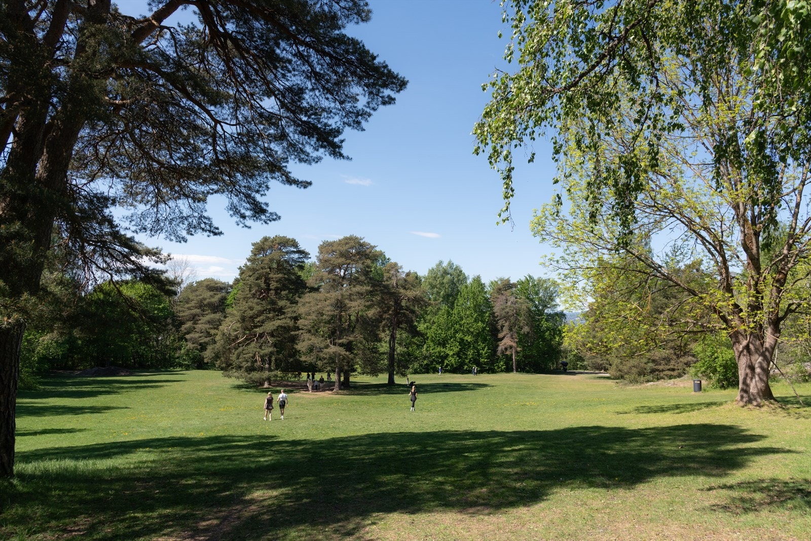 Ekebergparken er også en veldig hyggelig tur unna, her kan du se flere forskjellige kunstverk utstilt. Galleribilde