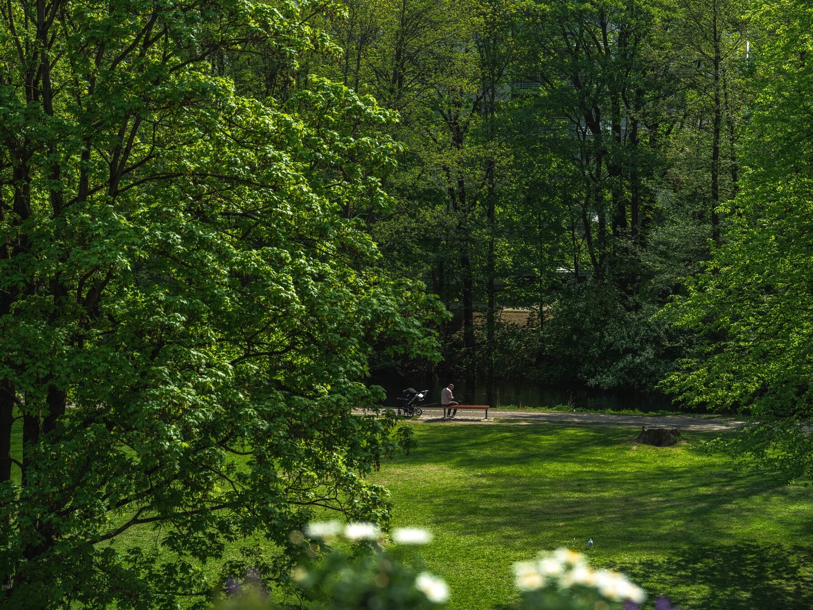 Det er flotte turmuligheter langs Akerselva, enten du vil sørover mot sentrum eller nordover mot Maridalen. Galleribilde