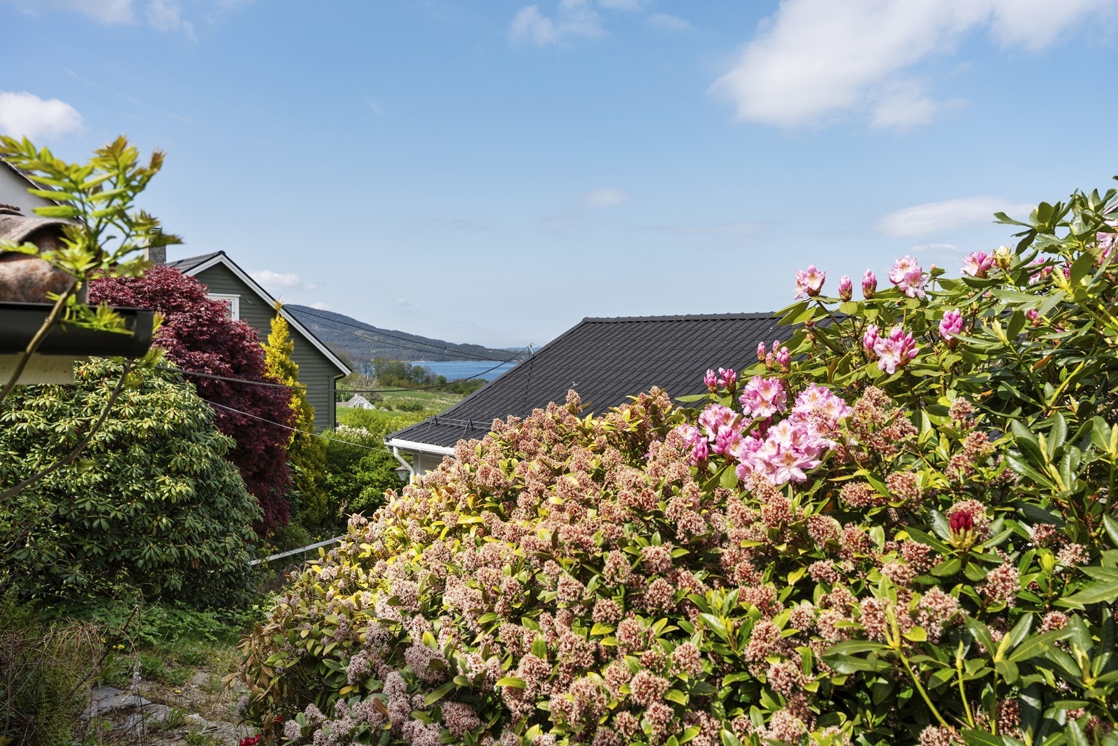 Frodig opparbeidet eiendom Galleribilde