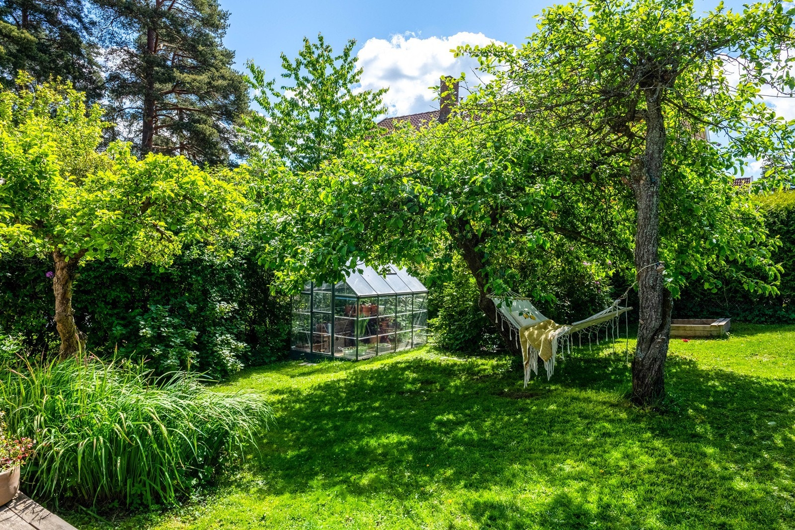 Hagen er romslig med god plass til lek og utfoldelse for hele familien. Galleribilde