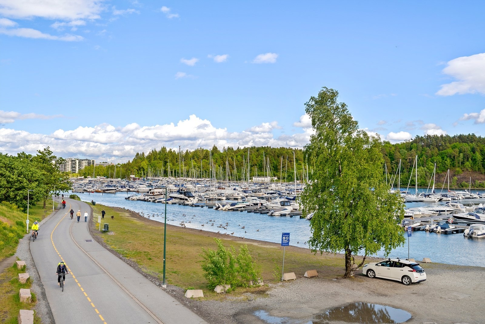 Her kan du gå hyggelige turer langs Oslofjorden. Galleribilde