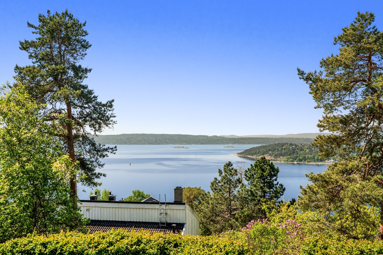 Uhindret fjordutsikt Galleribilde