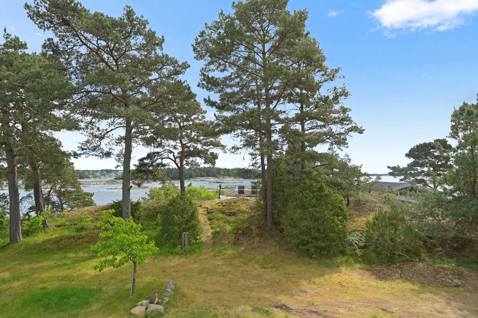 Det er bilvei helt frem, Galleribilde