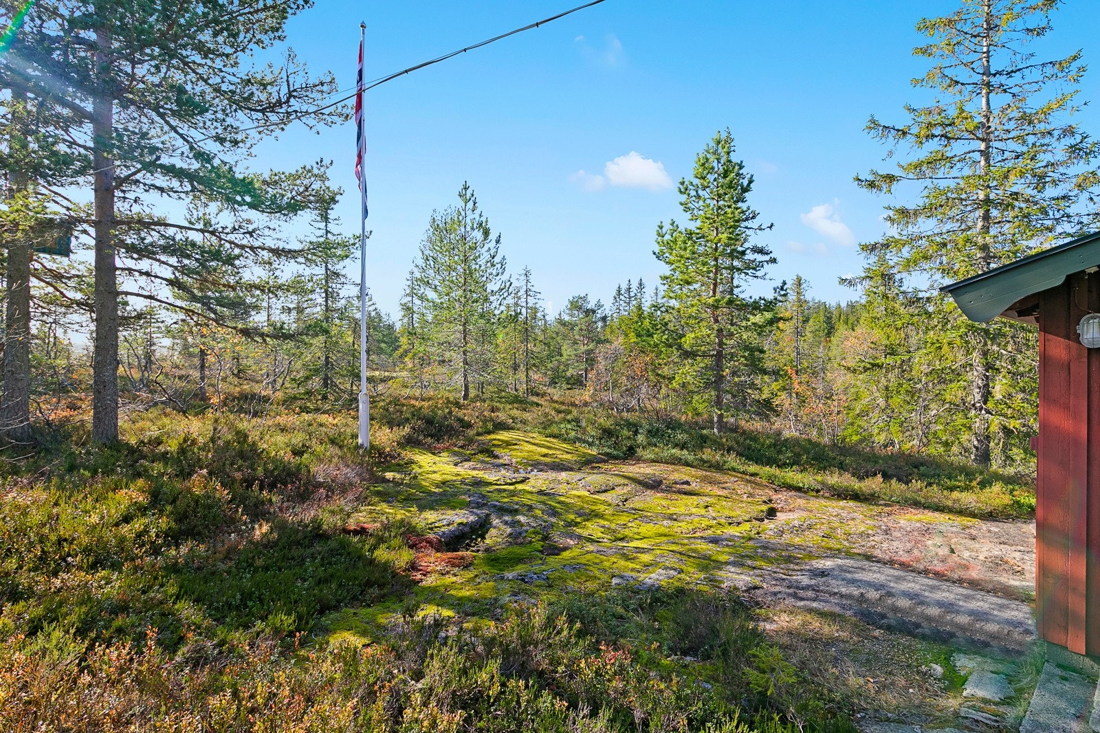 Nydelig natur som omkranser hytta Galleribilde