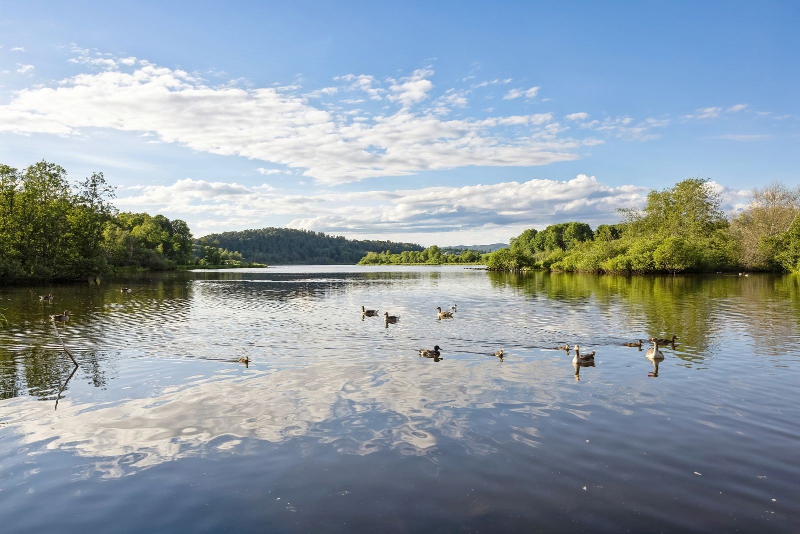 Flotte turmuligheter ved Østensjøvannet. Galleribilde