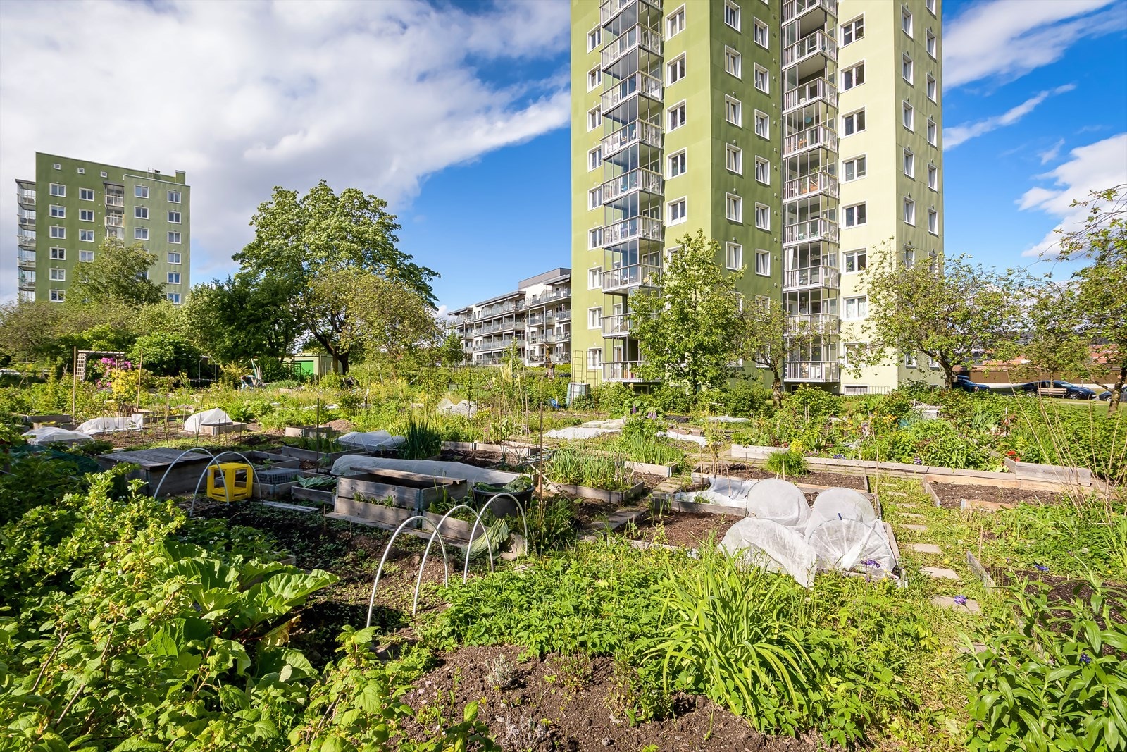 I nærområdet finner du koselige kafeer, spisesteder, lekeplasser, store grøntarealer, idrettsanlegg og sandvolleybane, alt innen få minutters gange Galleribilde