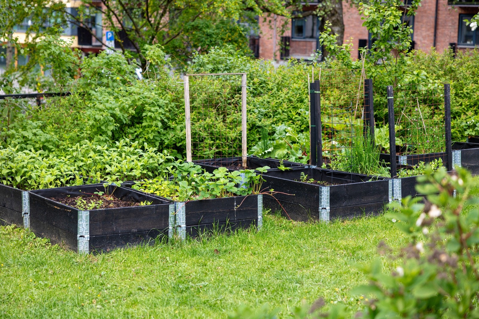 Borettslaget har en frodig hage med mulighet for at beboere kan dyrke i egen pallekarm. Det er også rikelig med bærbusker og urter tilgjengelig Galleribilde