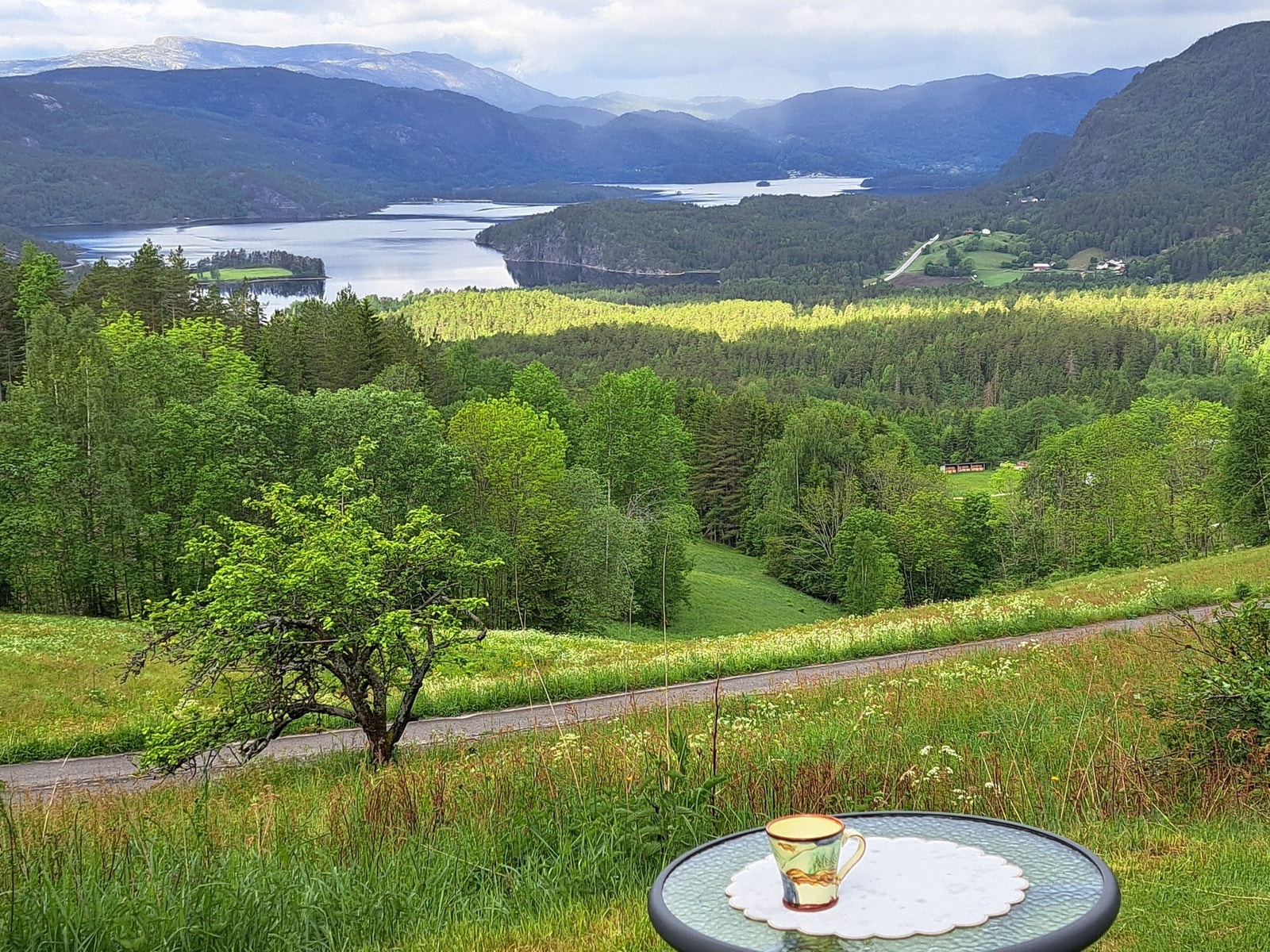 Ingenting slår en kopp med kaffe ute på tunet, med en av Seljords fineste utsikter. Selgers private foto. Galleribilde