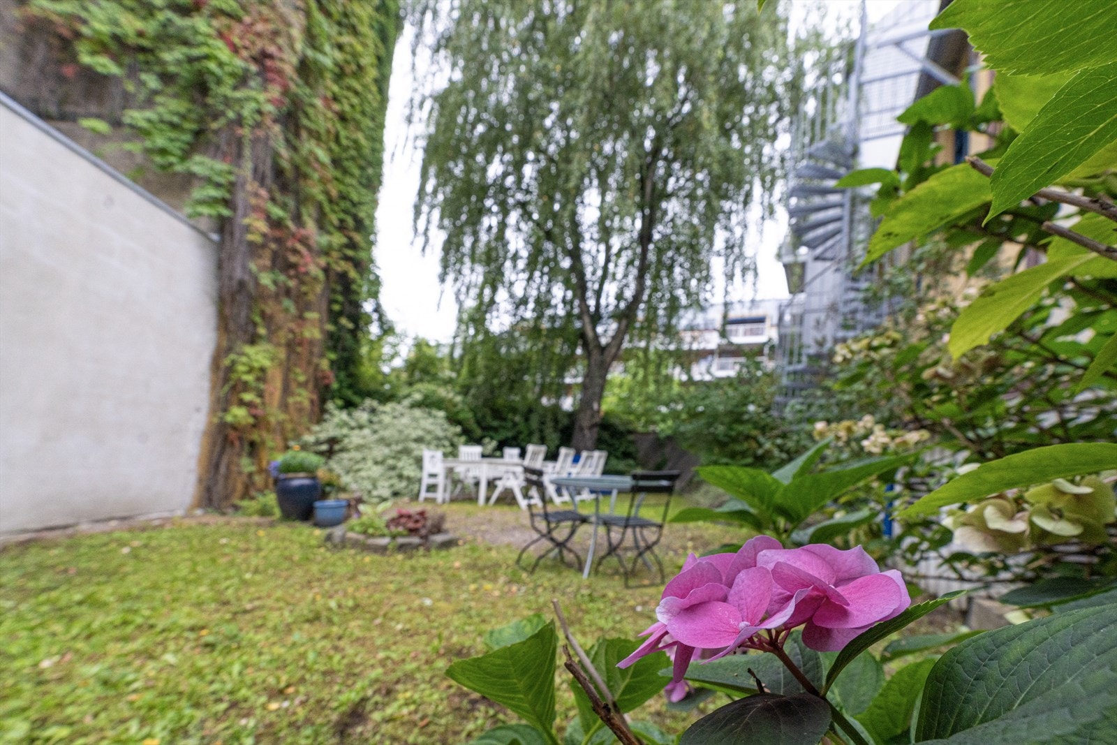 Hage/bakgård Galleribilde