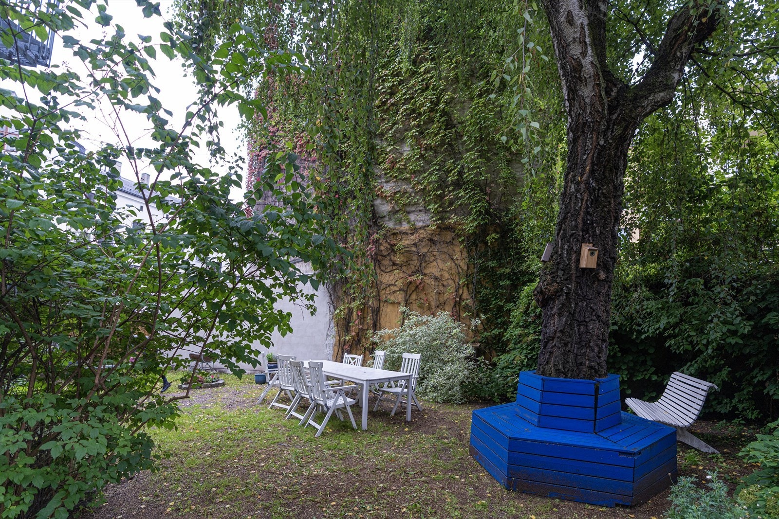 Hage/bakgård Galleribilde