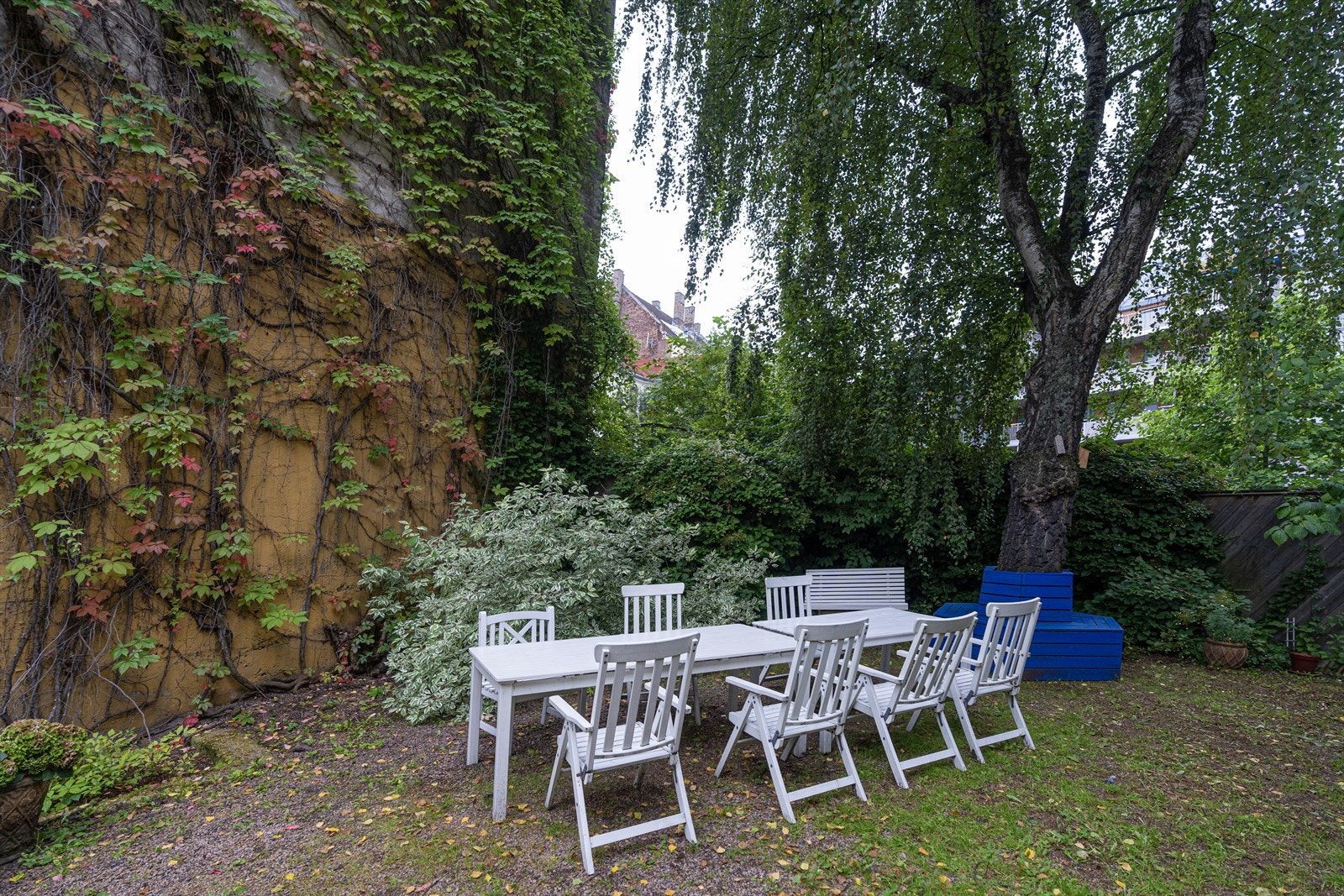 Hage/bakgård Galleribilde