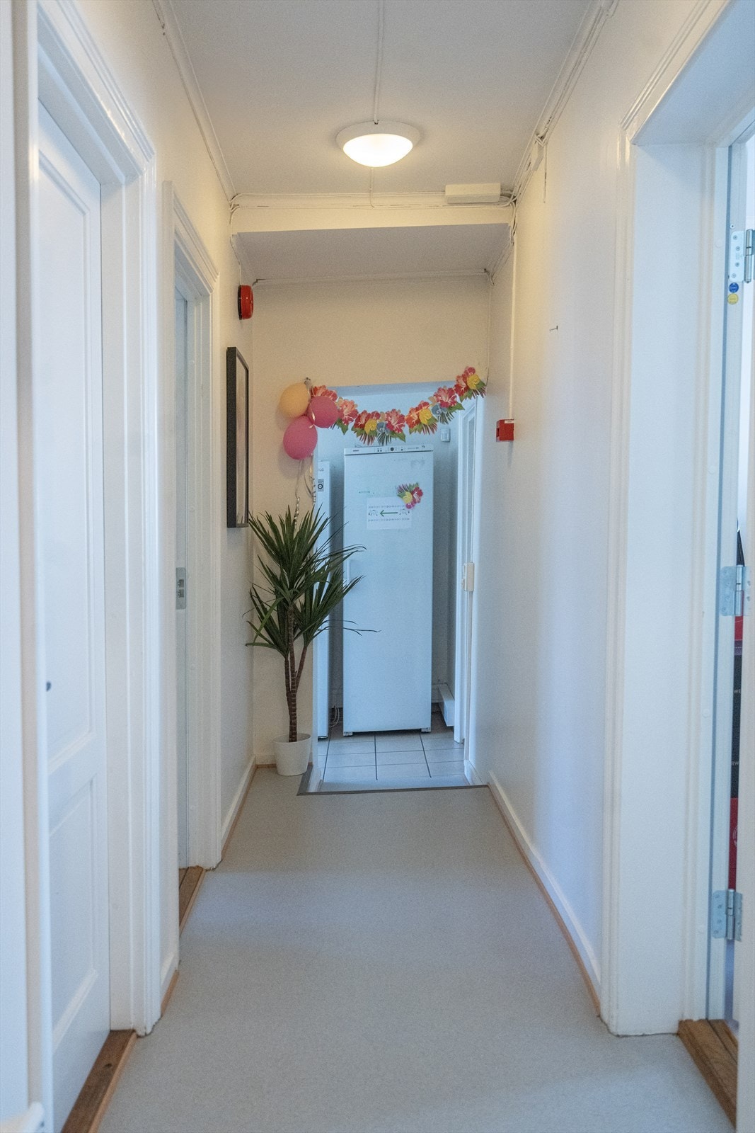 Nordbygata 45 og 47 Galleribilde