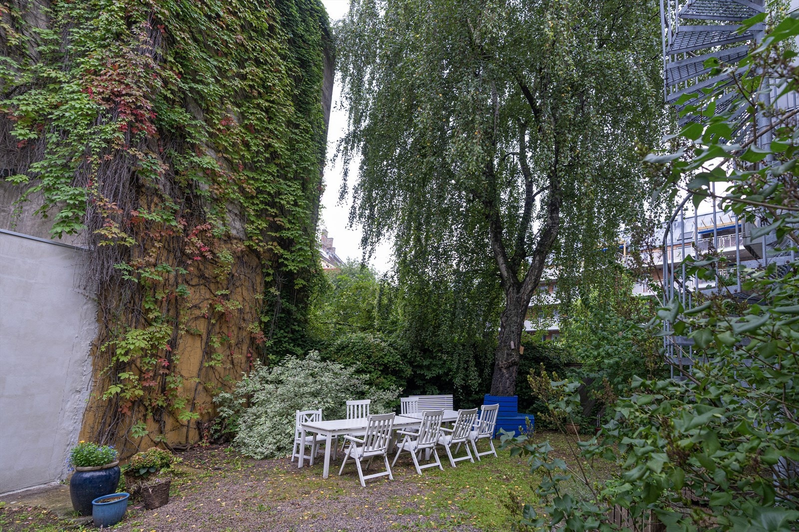 Hage/bakgård Galleribilde