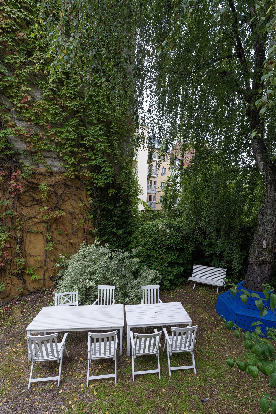 Hage/bakgård Galleribilde