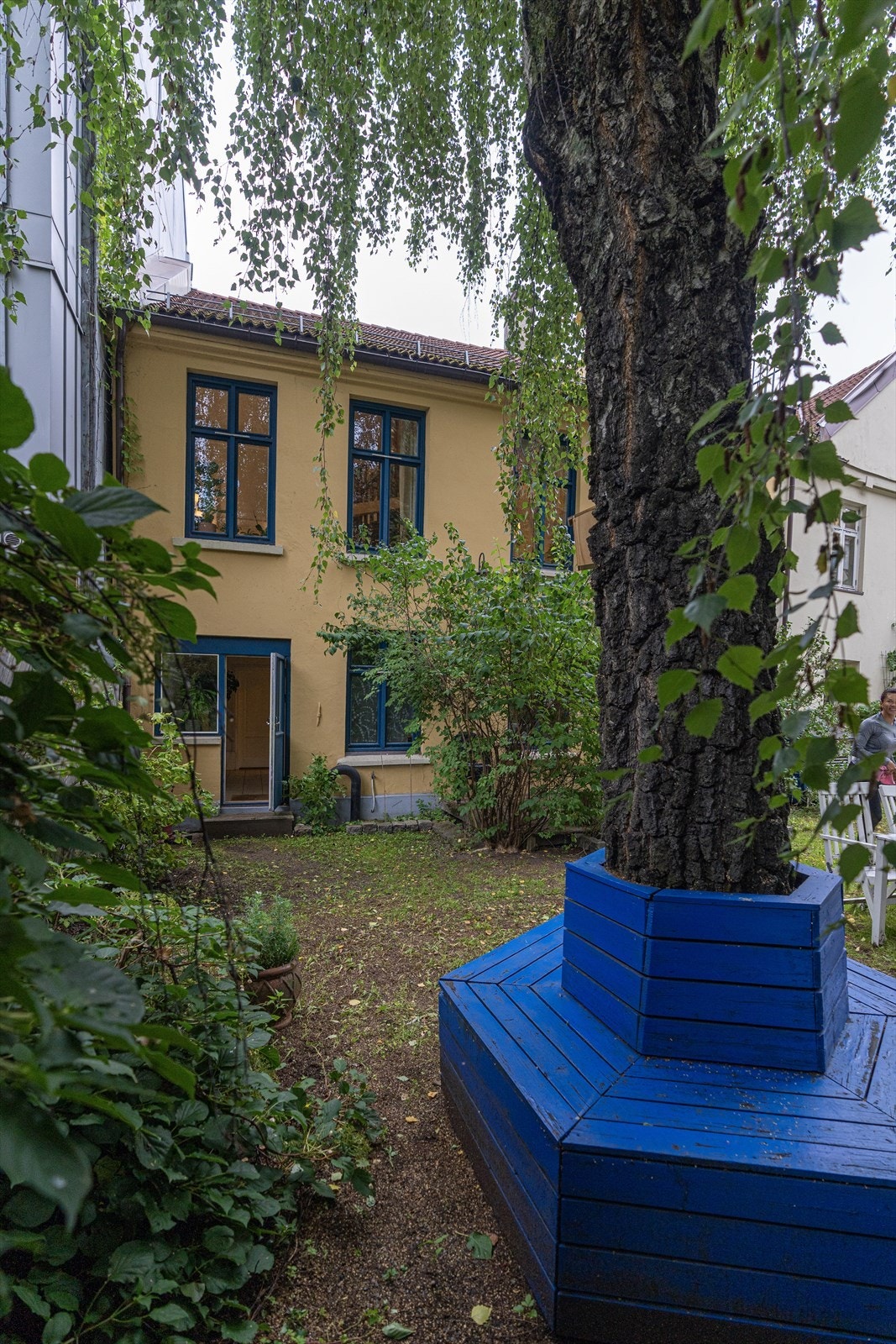 Hage/bakgård Galleribilde
