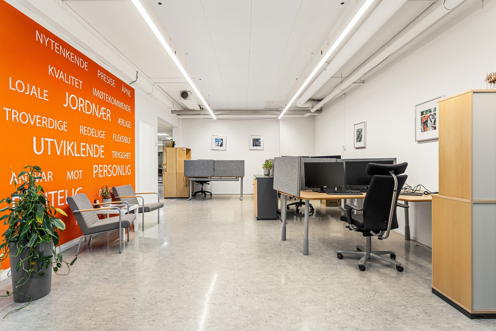 Åpnet landskap/sosial sone. Galleribilde