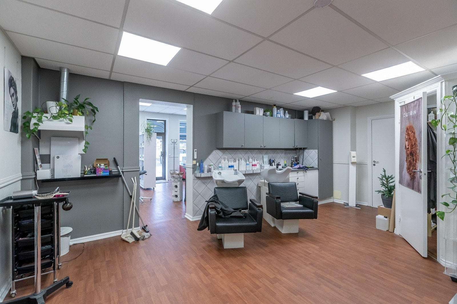 Pellygata-35-6 Galleribilde