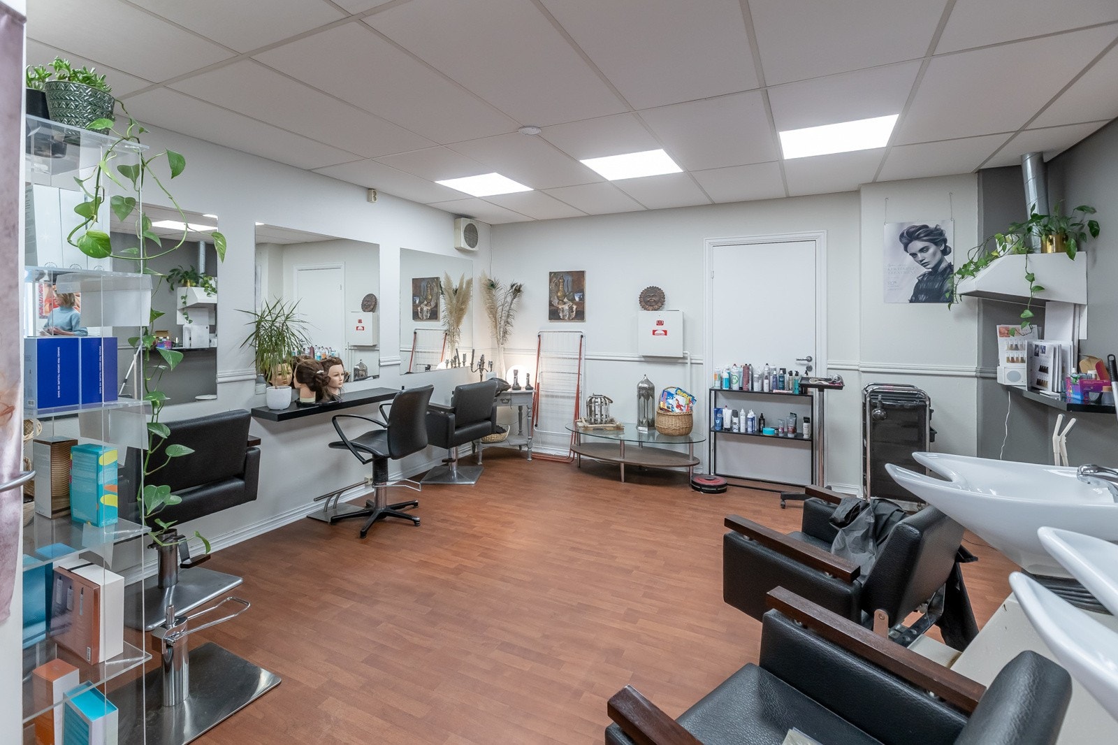 Pellygata-35-4 Galleribilde