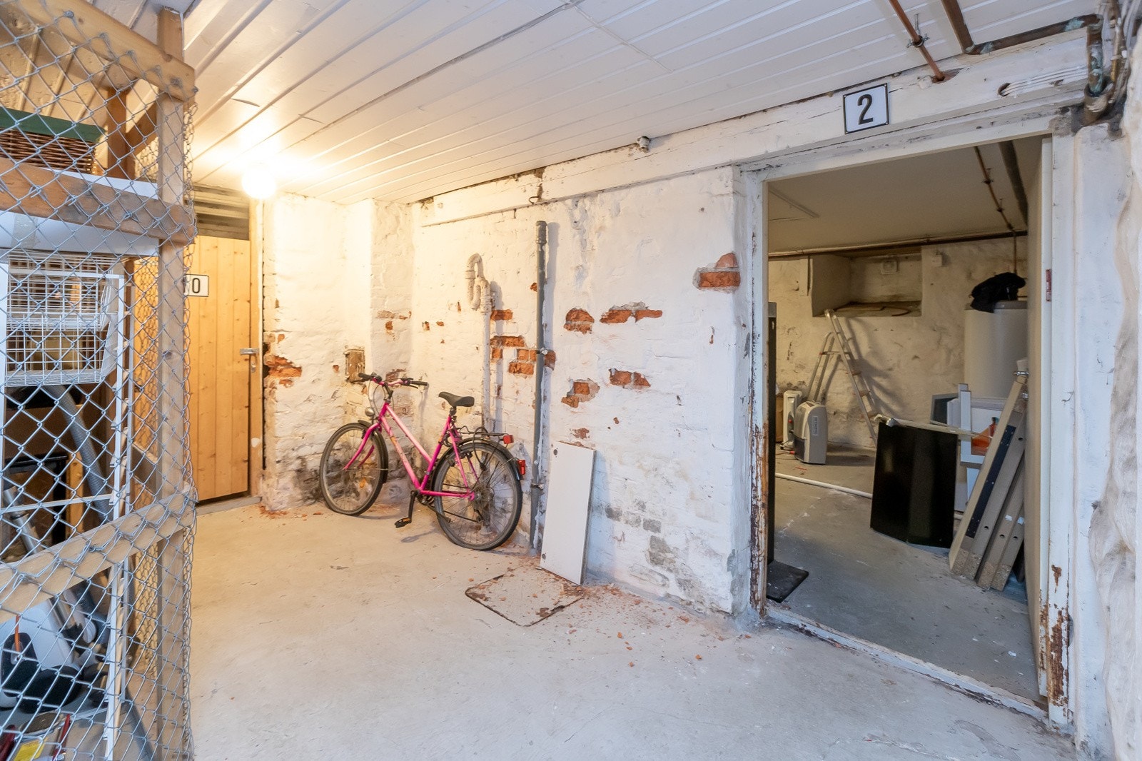 Pellygata-35-2 Galleribilde