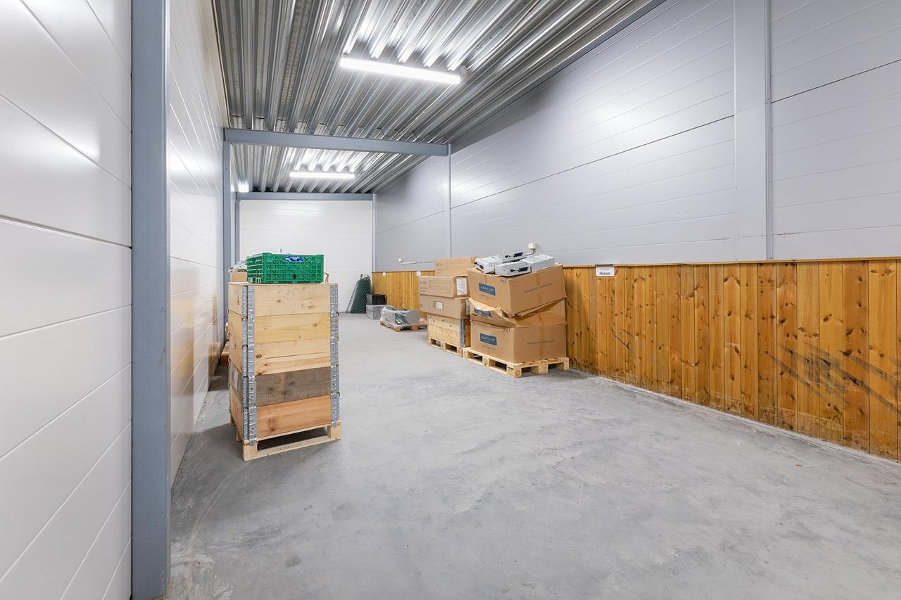 20240914-182 Galleribilde