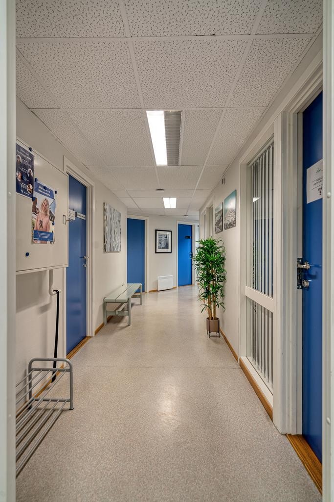82gang Galleribilde