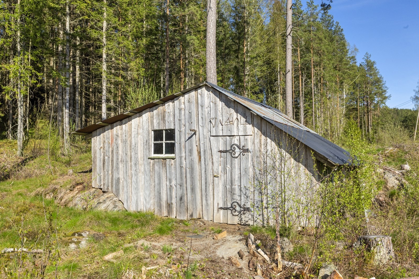 Jaktkoie Galleribilde
