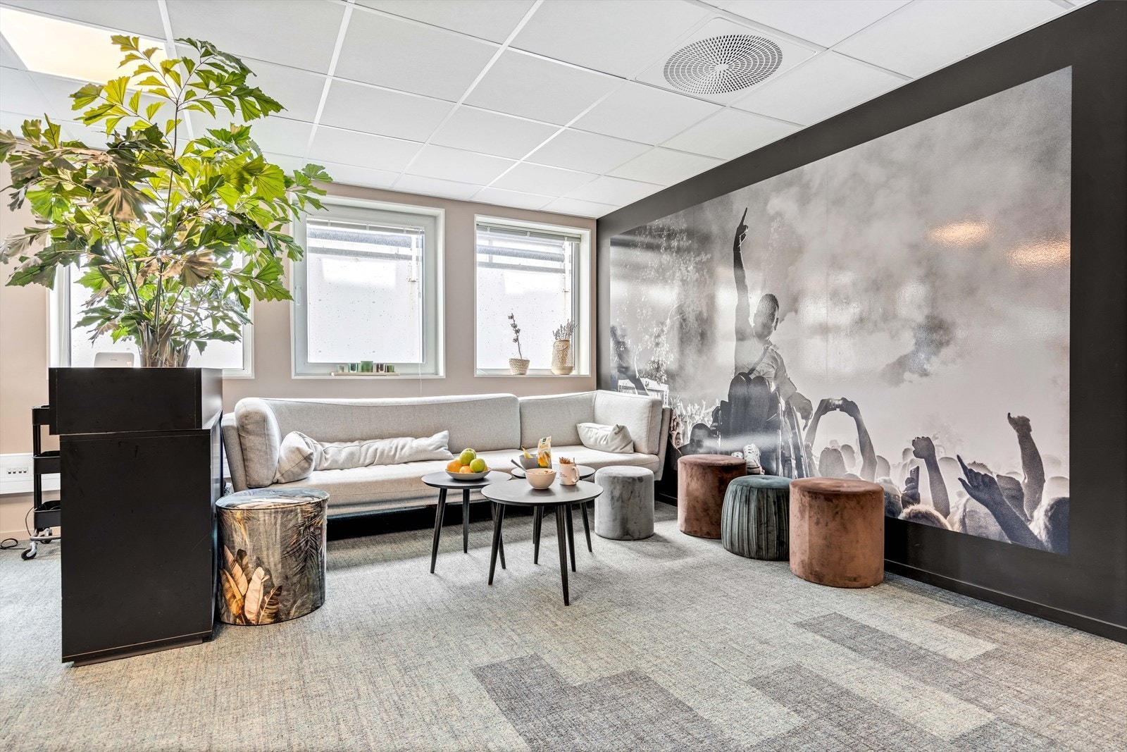 Sosial sone Galleribilde