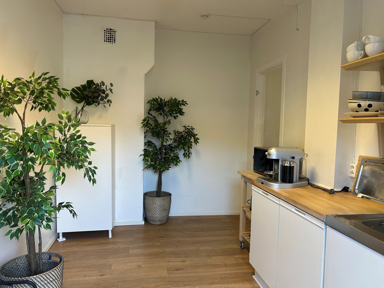 Dagens inngangsparti med lite kjøkken. Galleribilde