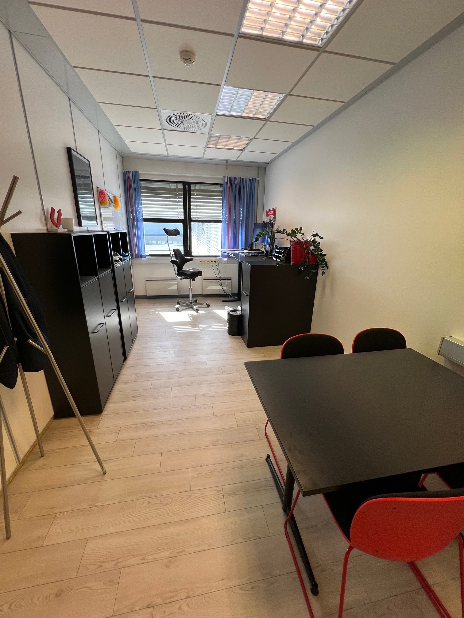 Enkelt cellekontor - Areal E Galleribilde