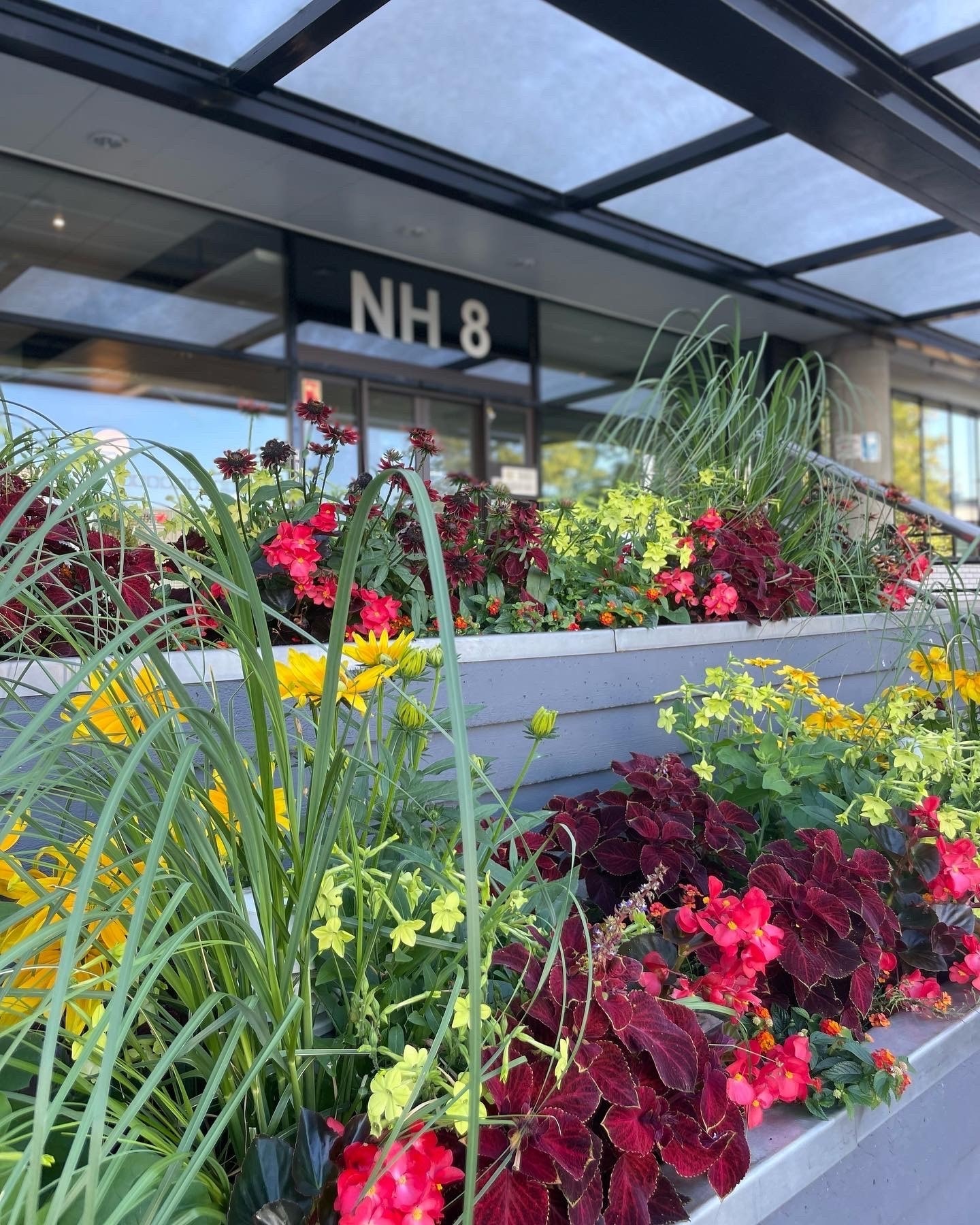 Frodig inngangsparti Galleribilde