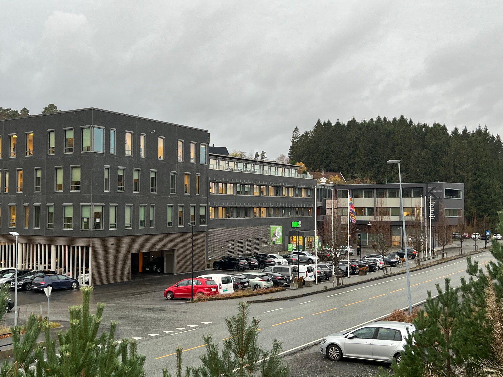 Galleribilde