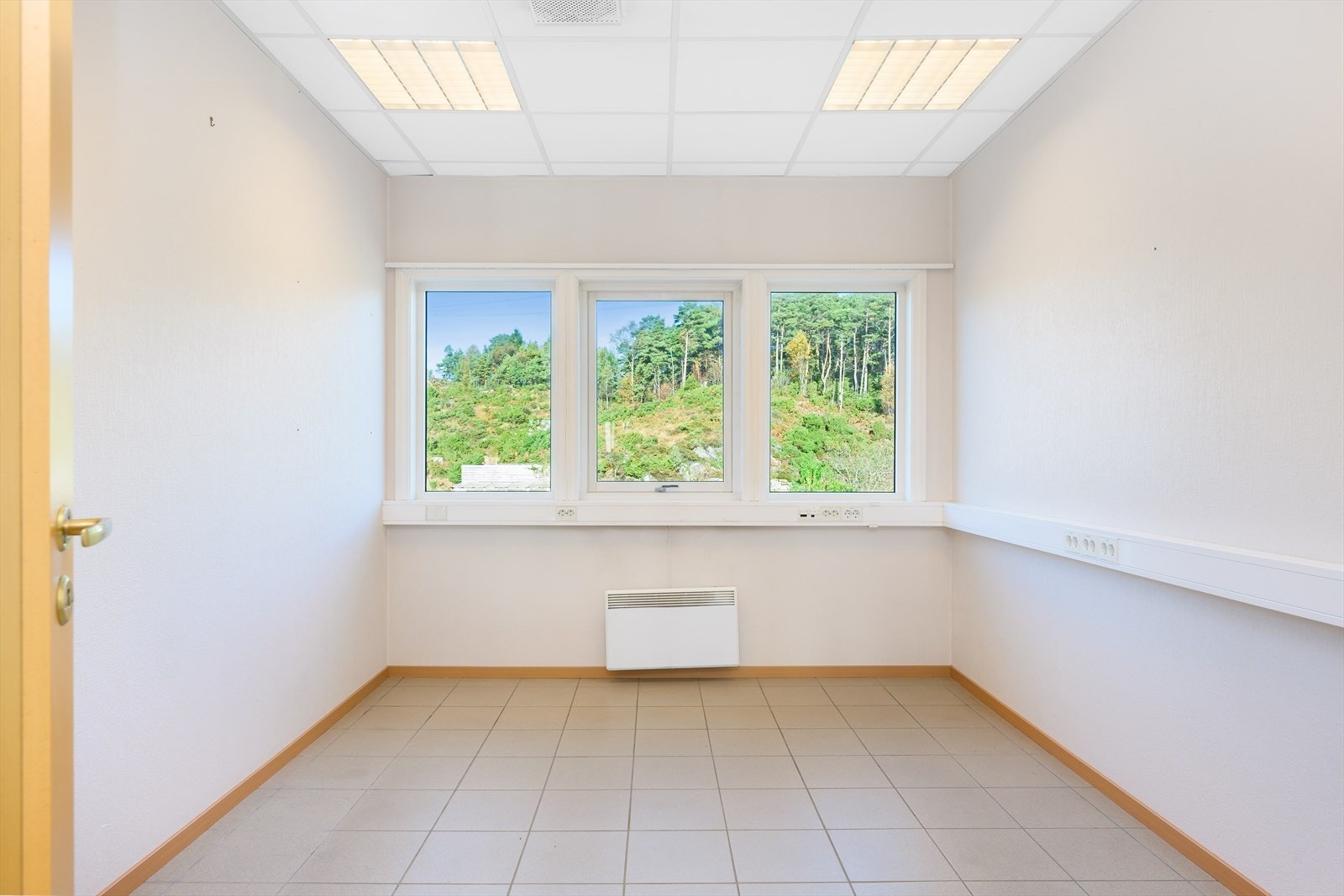 Standard cellekontor. Galleribilde