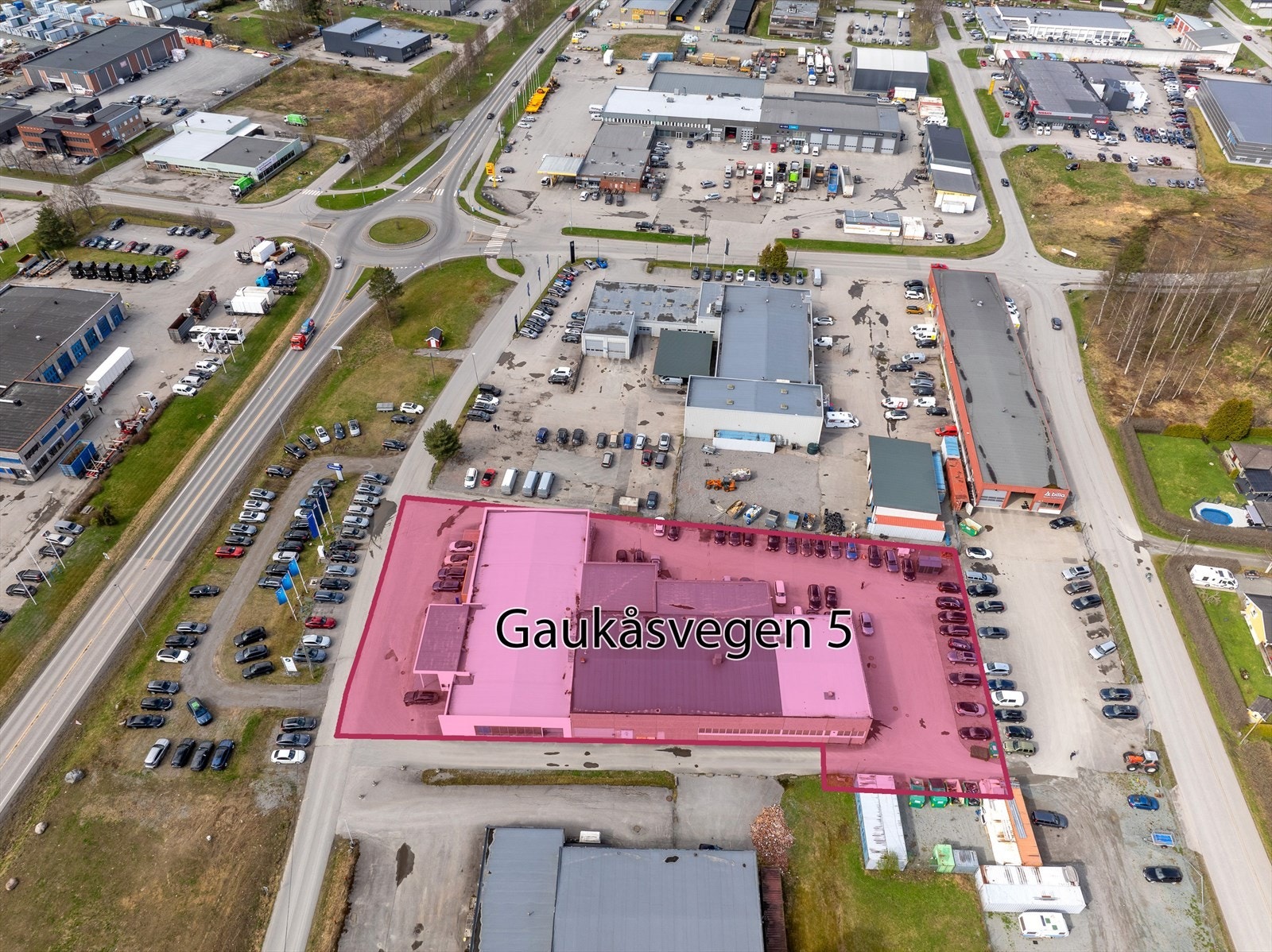 Annet Galleribilde