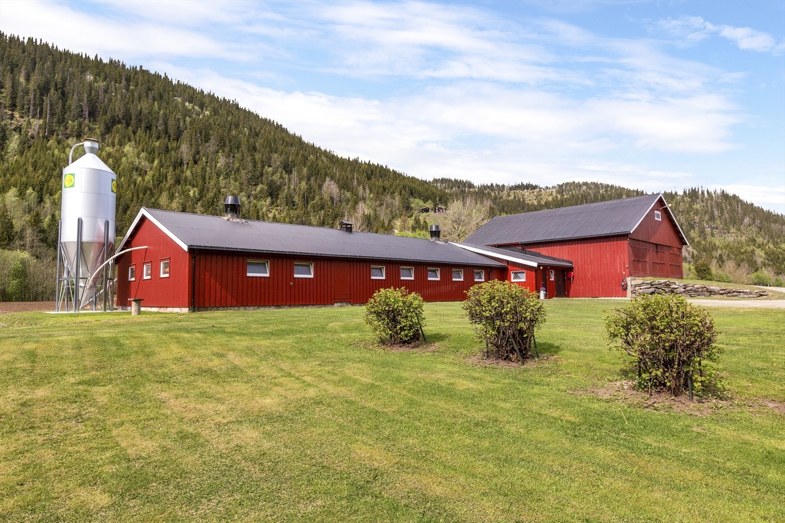 Fjøs-/låve Galleribilde