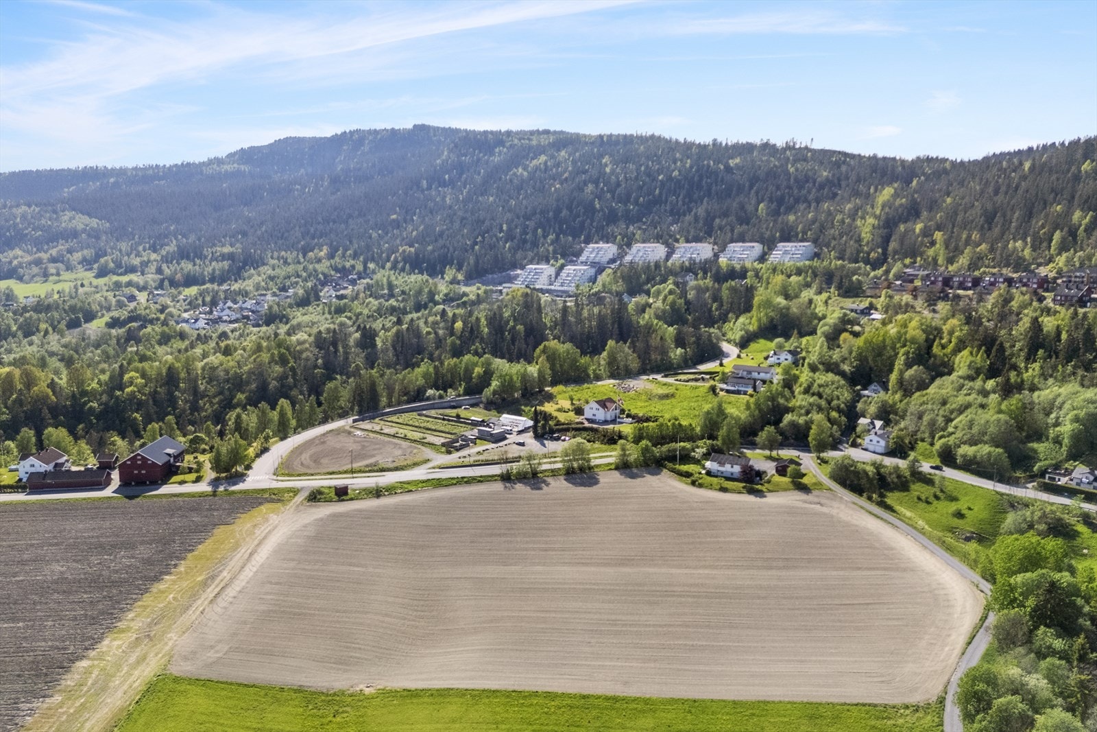 Skiftet som er tilsådd med vårkorn på bildet tilhører Torstad Galleribilde