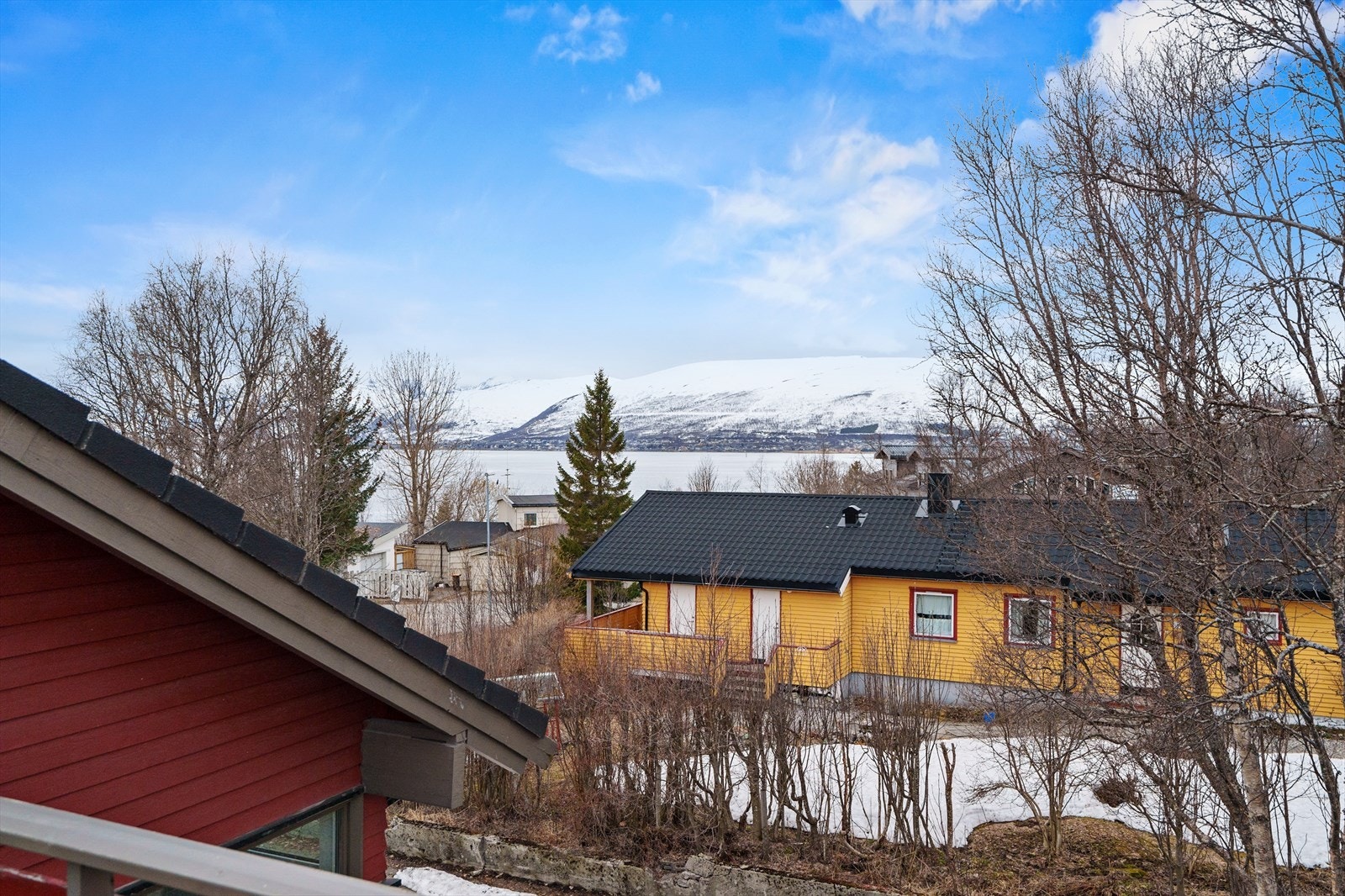 Utsikt fra veranda i nord Galleribilde