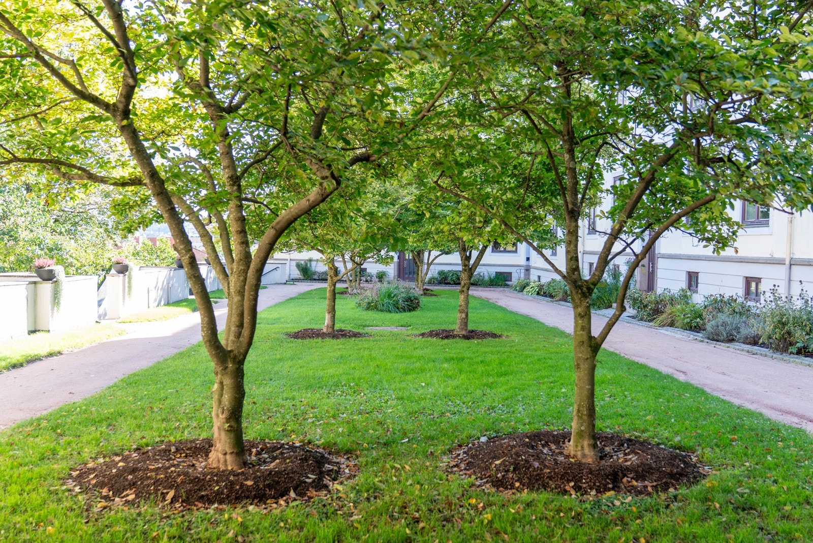Fellesområde tegnet av Snøhetta. Galleribilde