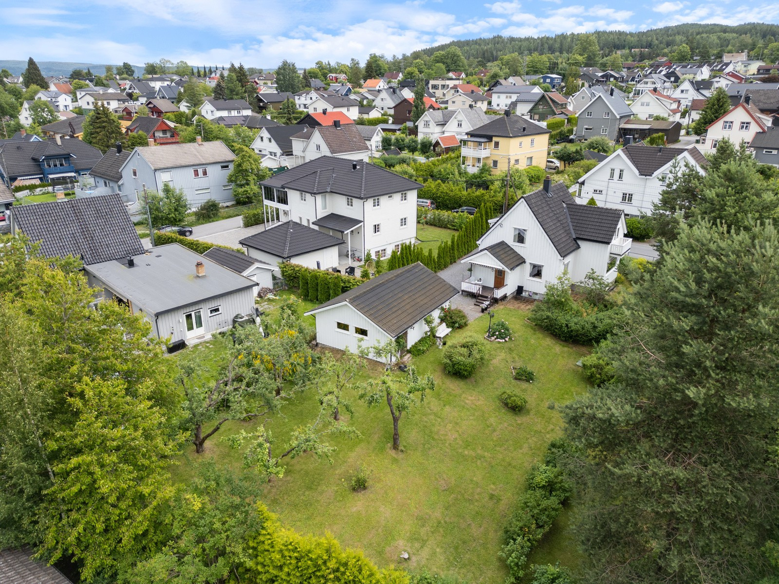 hovedbilde