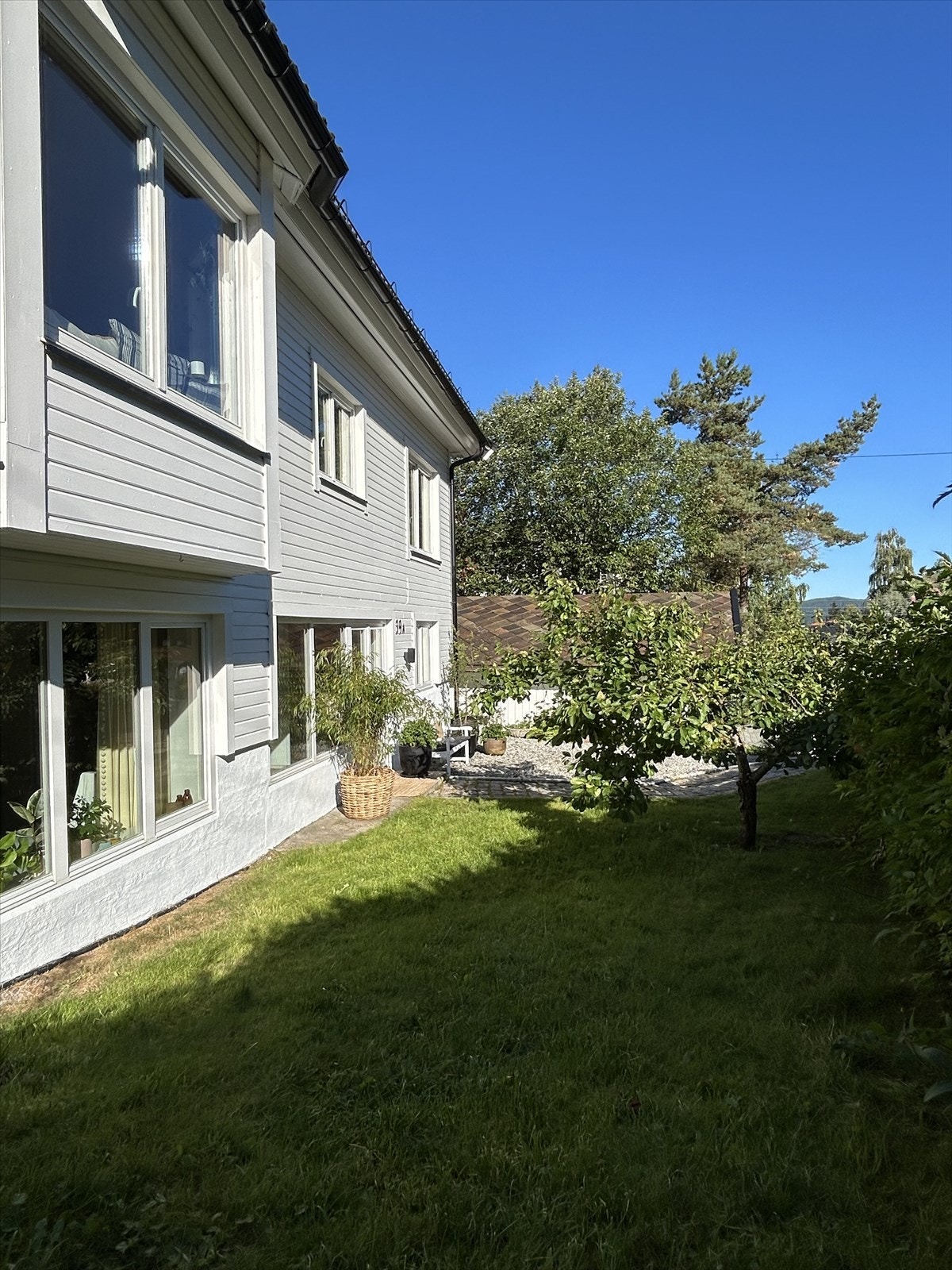 Sommerbilder fra selgers arkiv Galleribilde