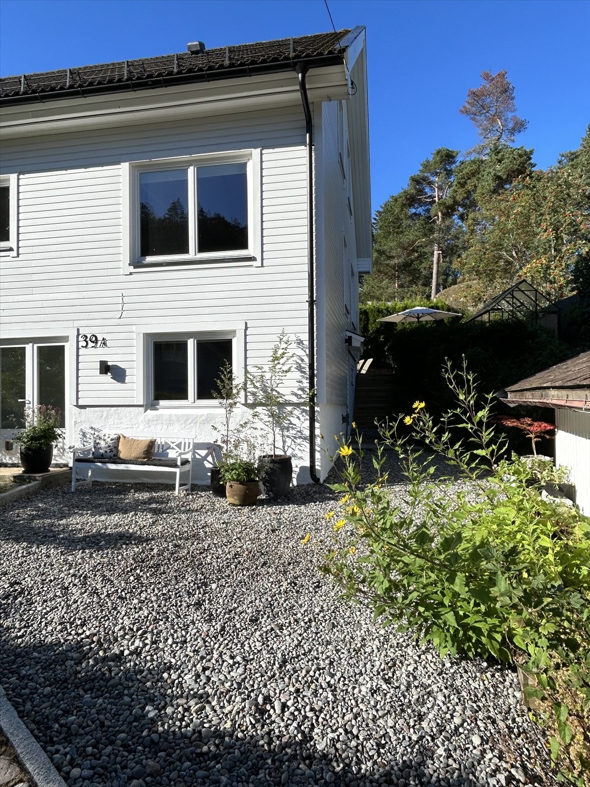 Sommerbilder fra selgers arkiv Galleribilde