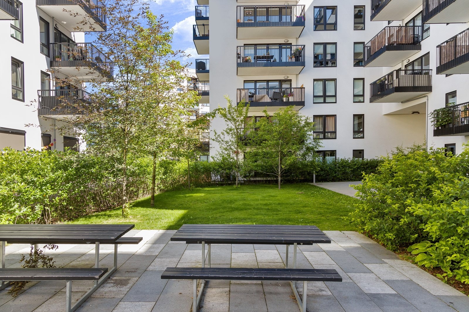 Grønn og fin bakgård. Galleribilde