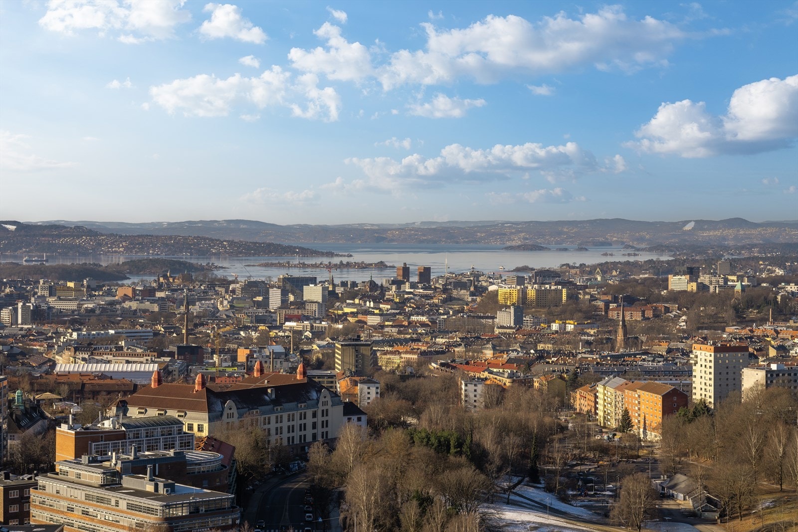 Fra felles takterrasse er det fantastisk utsikt over Oslo by og fjord. Galleribilde